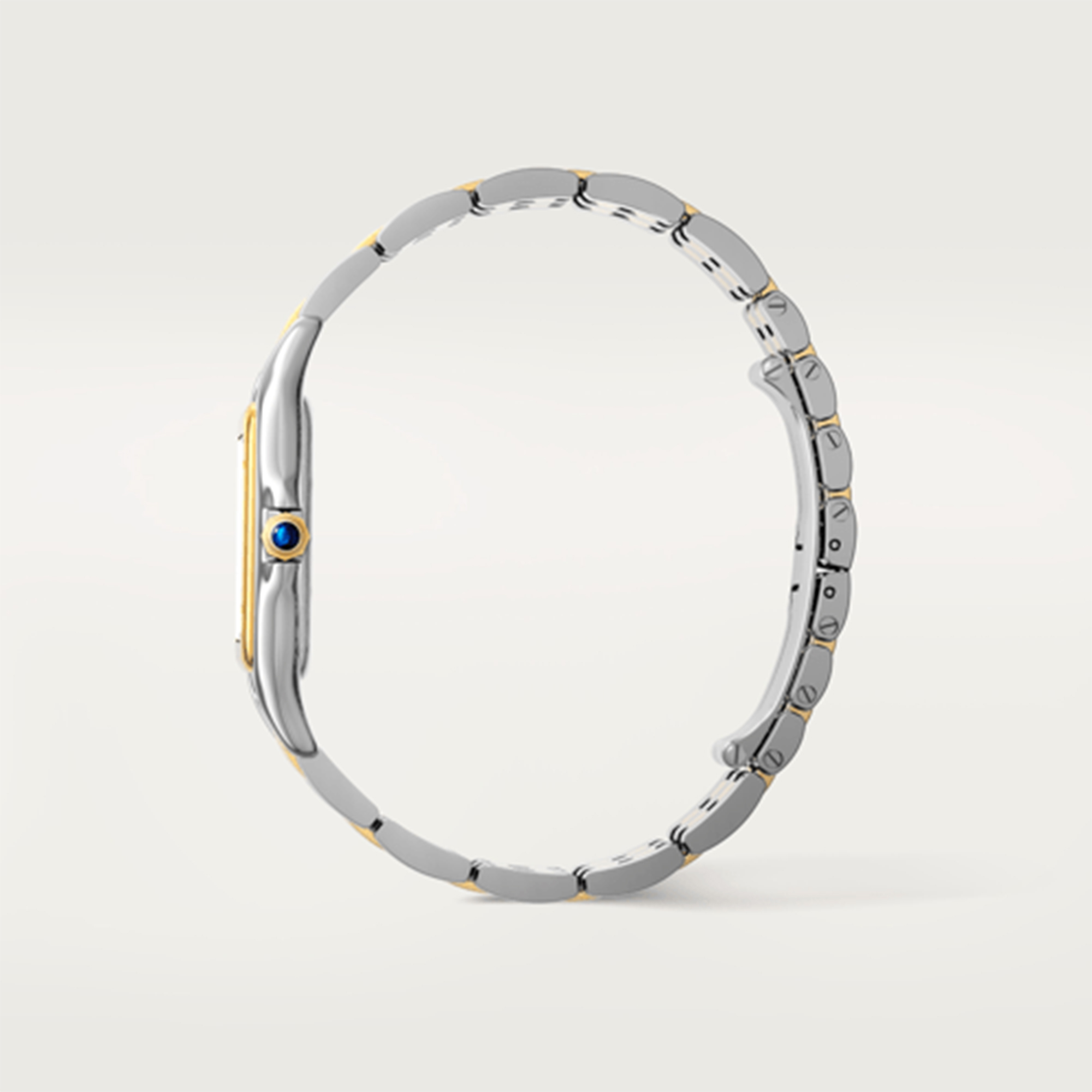 Cartier Panthère de Cartier